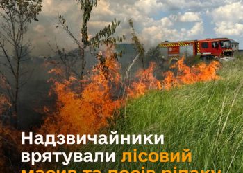 Ледве не згоріло 20 га ріпаку на Кременеччині