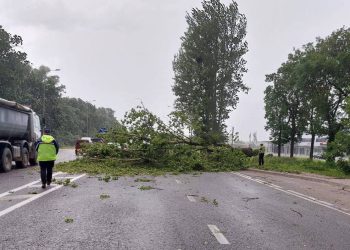 Львів накрила потужна злива та гроза. У місті впало кілька дерев