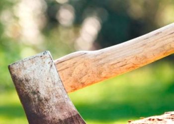 Мешканця Жовківщини оштрафували за те, що порубав двері сільради — Львівщіна