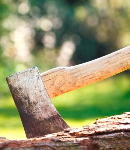 Мешканця Жовківщини оштрафували за те, що порубав двері сільради