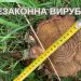 На 350 тис. грн незаконно вирубали дерев на Кременеччині