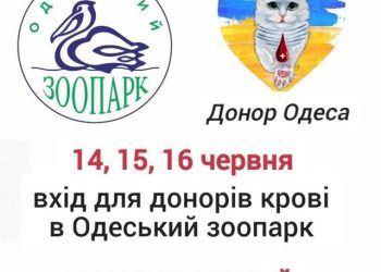 Одеський зоопарк запрошує донорів | Південний Кур’єр