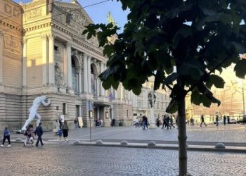 Підприємець придбав дерево у Львові за 1,5 млн грн для закупки дронів