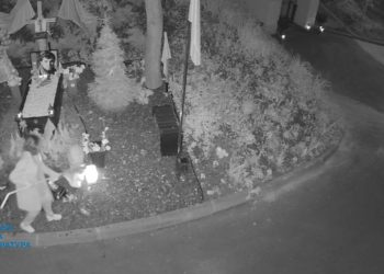 В Киеве показали, кто изуродовал могилы защитников Украины (ФОТО) – Дніпро