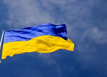 Військові та вимушені переселенці мають можливість безкоштовно перевезти свої речі | Південний Кур’єр