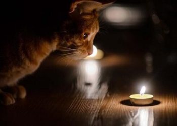 Вимкнення світла на Тернопільщині 14 червня – коли вимикатимуть електрику і на скільки