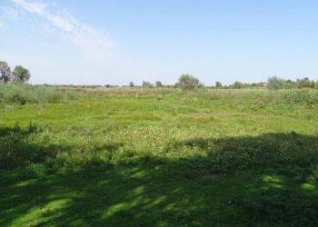 За ініціативи екологів ЧНУ створено новий заказник — Новости Черкасс