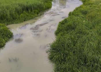 Забруднення річки: на Львівщині екоінспекція досліджує воду з Верещиці