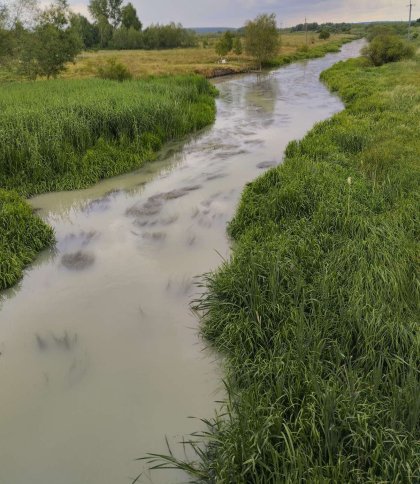 річка Верещиця