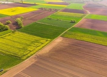 Землю вартістю у понад 413 млн грн повернули у власність громади на Львівщині