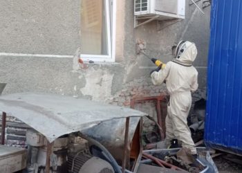 3 гнізда шершнів знешкодили на території АТП у Тернополі
