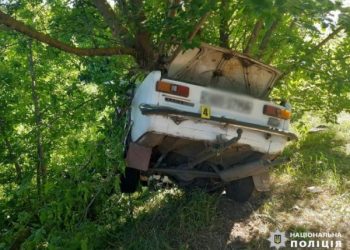 Авто опинилось у дереві: на Золотоніщині у ДТП загинув чоловік — Новости Черкасс
