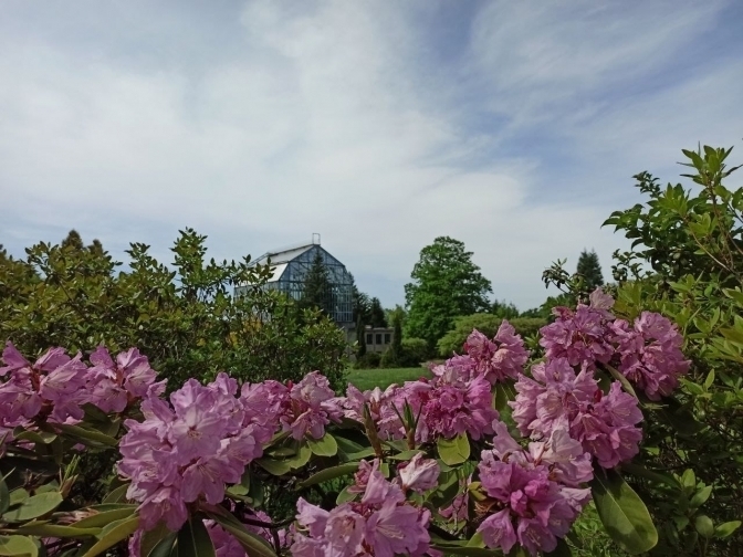 ФОТО: ФБ БОТАНІЧНОГО САДУ