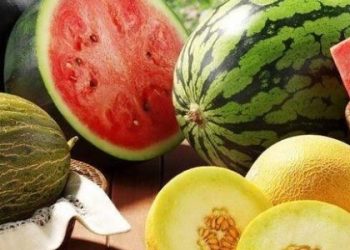 Продаж кавунів у Львові: місця та час торгівлі