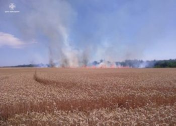 Спалахнув сухостій: на Звенигородщині вогонь перекинувся на поле з пшеницею — Новости Черкасс