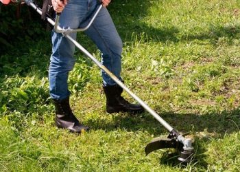 Спека в Києві минула, комунальники повернулися до косіння трави