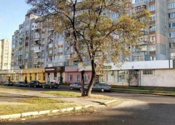 Стрибала по чужих авто і облаяла поліцію: штраф мешканці Червонограда — Львівщіна