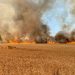 Згоріло 45 гектарів пшениці: протягом доби виникло 9 пожеж на відкритій території  — Новости Черкасс