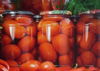 Без стерилізації: швидкий рецепт смачних маринованих помідорів на зиму | Терміново новини Тернополя