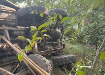 ДТП біля Твіржа на Яворівщині: загинув водій вантажівки — Львівщіна