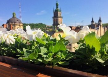 Якою сьогодні буде погода у Львові