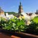 Якою сьогодні буде погода у Львові