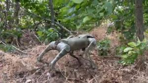 Новости Днепра про На фронте в Украине военным начали помогать собаки-роботы: зачем они нужны и как работают