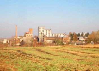 На Тернопільщині вдруге продають спиртзавод з шаленим боргом | Терміново новини Тернополя