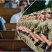 Ограничение на отсрочку в Украине: кого из военнообязанных студентов ВУЗов это касается – Дніпро
