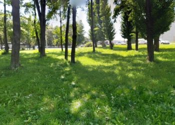 У одному з районів Львова облаштують новий сквер