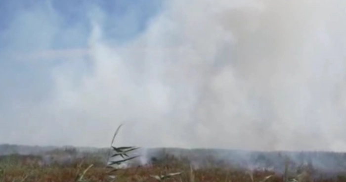 Пожежа в Херсоні / Херсонська МВА