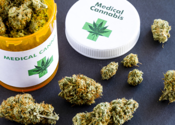 В Украине вступил в силу Закон о легализации медицинского каннабиса: что он предусматривает – Дніпро