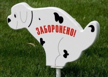 Вигул собак у Львові: працівники парків штрафуватимуть порушників