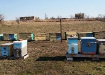 Черкащани, які постраждали від війни, можуть отримати фінансову підтримку від Естонської ради у справах біженців — Новости Черкасс