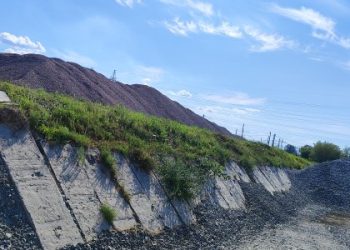 Львівська міськрада готує на продаж землю у Рясному майже за 15 млн