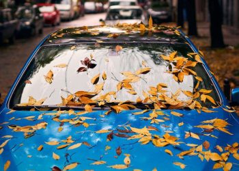 Помилки водіїв восени: як не нашкодити автомобілю | АВТО НОВИНИ |