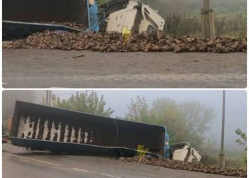 У Скалаті перекинулась фура з буряками: що кажуть у поліції | Терміново новини Тернополя