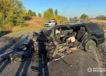 За фактом ДТП у Черкаському районі слідчі розпочали розслідування — Новости Черкасс