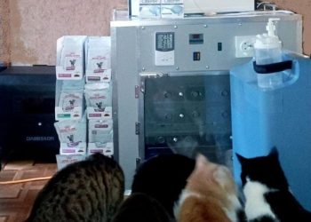 Зооволонтерам подарували можливість ефективно рятувати фронтових тварин  — Новости Черкасс