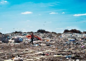 Італійська компанія Gesenu Ambiente Group планує збудувати на Закарпатті два сміттєпереробних заводи