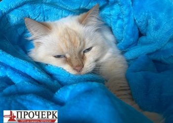 Бондаренко розповів, коли почнеться опалювальний сезон у Черкасах — Новости Черкасс