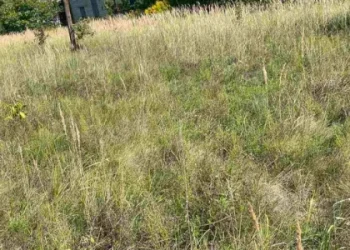 Ділянки в Радехові за понад 500 тис. грн придбав один покупець — Львівщіна