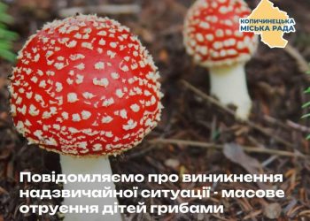 Масове отруєння грибами на Тернопільщині – розповіли деталі