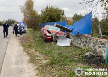 Поліцейські Звенигородки затримали нетверезого водія, який влаштував ДТП з постраждалими — Новости Черкасс