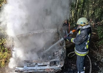 Пожежа на Тернопільщині – вщент згоріло авто на дорозі
