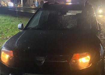 У Зимній Воді водій Dacia на смерть збив 65-річного пішохода — Львівщіна