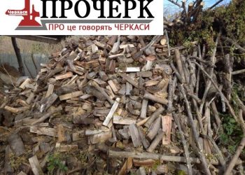 7 років за дрова: деталі скандального закону, ініціатором якого є депутат з Черкащини — Новости Черкасс