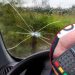 Чи можна оскаржити штраф за тріщину на лобовому склі | АВТО НОВИНИ |