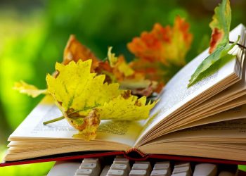 Купити книги Тернопіль – підбірка з 5 класних книг для читання