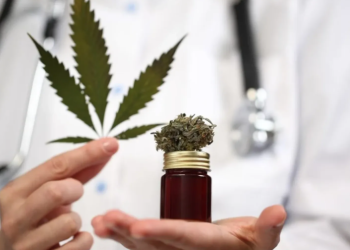 Медичний канабіс в Україні. Уряд врегулював його обіг